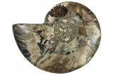 Cut & Polished Ammonite Fossil (Half) - Madagascar #308179-1